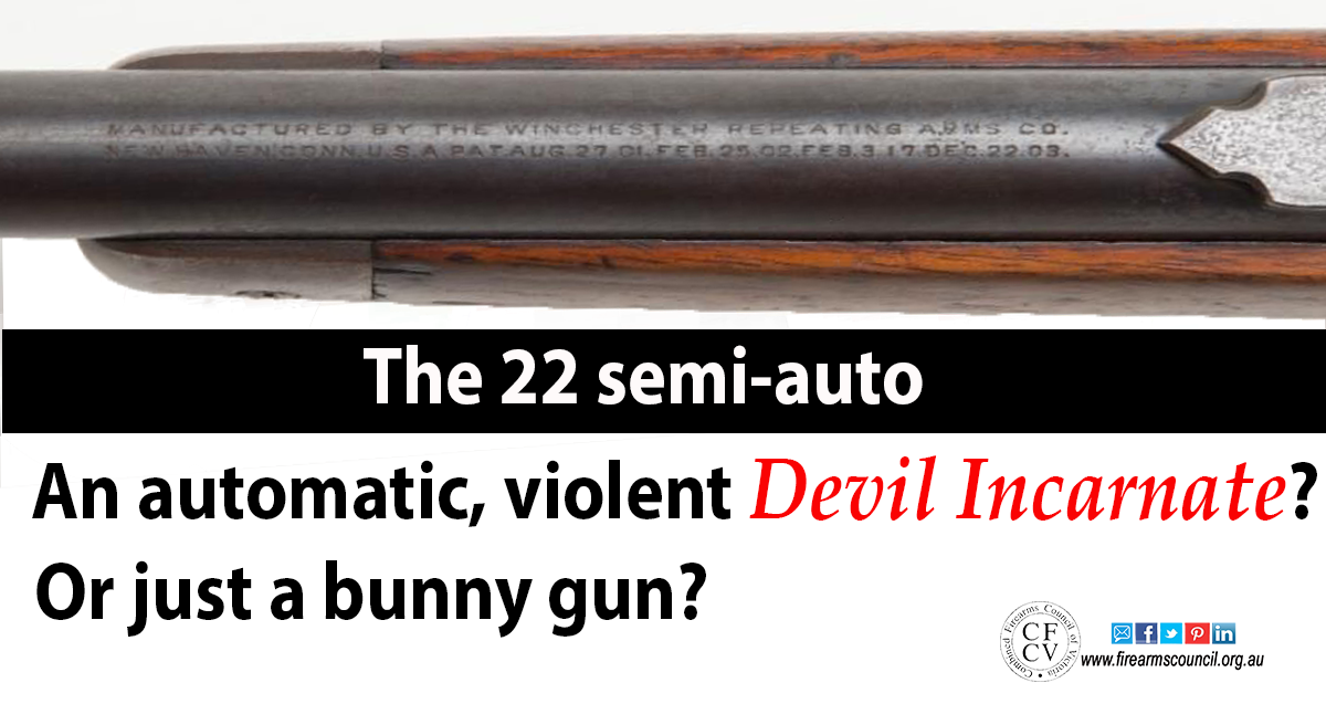 22 semi autos - devil incarnate or a bunny gun