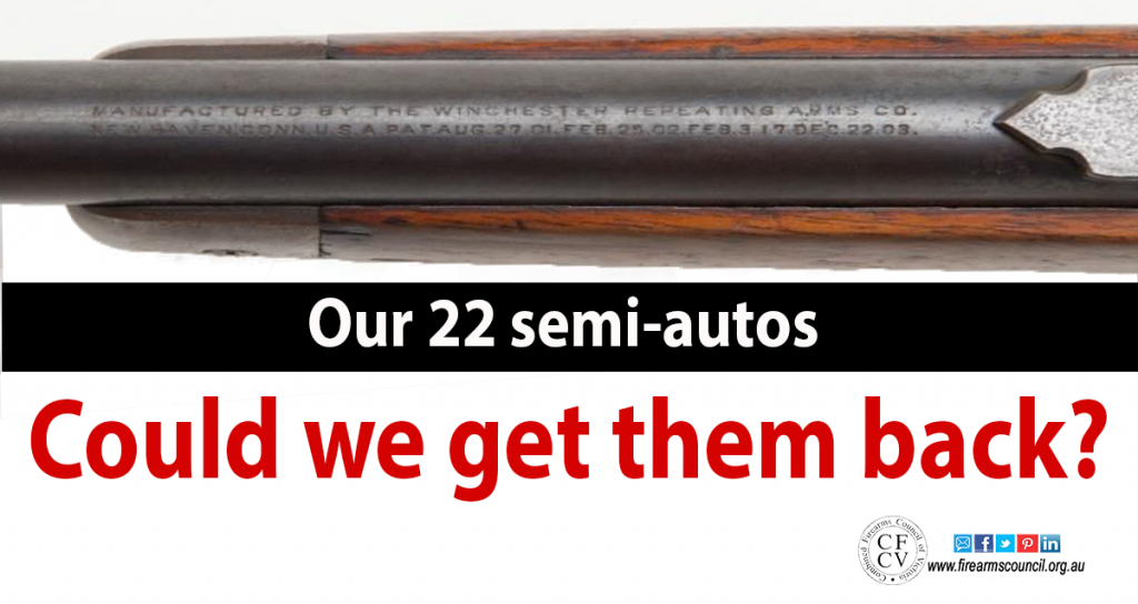 22-semi-autos-could-we-get-them-back2